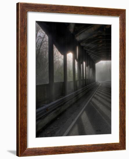 Brainpath-Jim Crotty-Framed Photographic Print