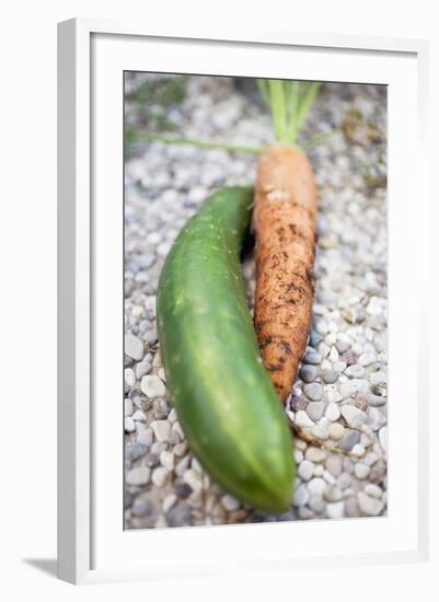 Braising Cucumber and Fresh Carrot-Foodcollection-Framed Photographic Print