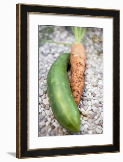 Braising Cucumber and Fresh Carrot-Foodcollection-Framed Photographic Print