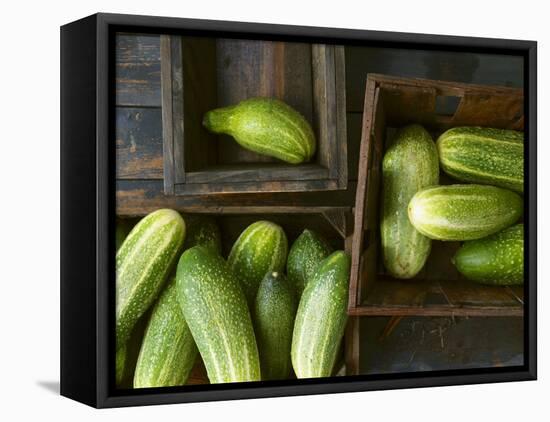 Braising Cucumbers in Wooden Boxes-Jan-peter Westermann-Framed Premier Image Canvas