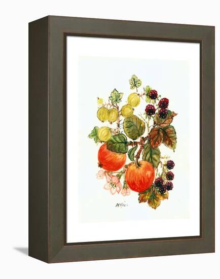 Brambles, Apples and Grapes-Nell Hill-Framed Premier Image Canvas