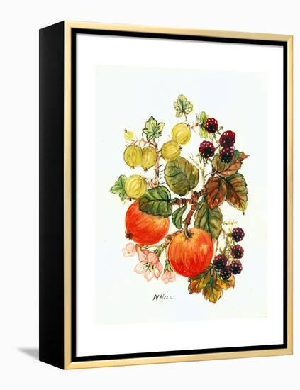 Brambles, Apples and Grapes-Nell Hill-Framed Premier Image Canvas