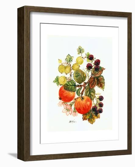 Brambles, Apples and Grapes-Nell Hill-Framed Giclee Print