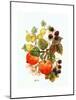 Brambles, Apples and Grapes-Nell Hill-Mounted Giclee Print