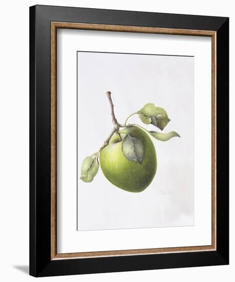 Bramley Apple, 1995-Margaret Ann Eden-Framed Giclee Print