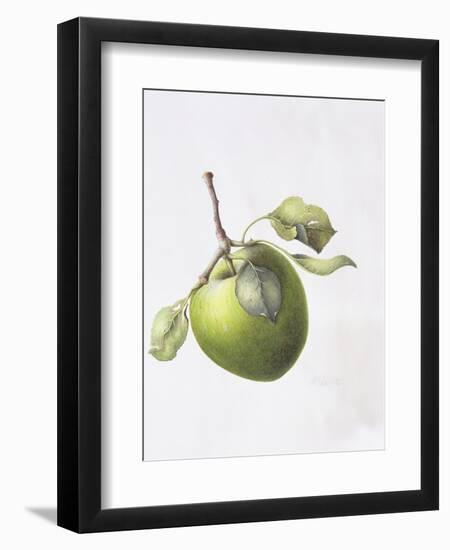 Bramley Apple, 1995-Margaret Ann Eden-Framed Giclee Print