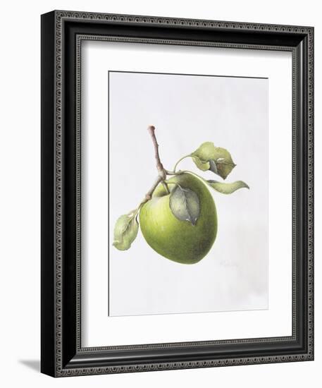 Bramley Apple, 1995-Margaret Ann Eden-Framed Giclee Print