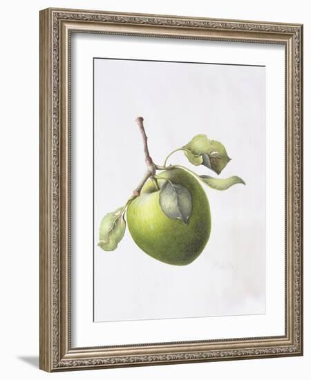 Bramley Apple, 1995-Margaret Ann Eden-Framed Giclee Print