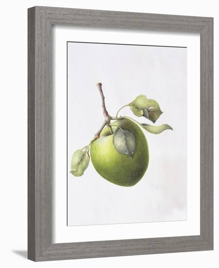 Bramley Apple, 1995-Margaret Ann Eden-Framed Giclee Print