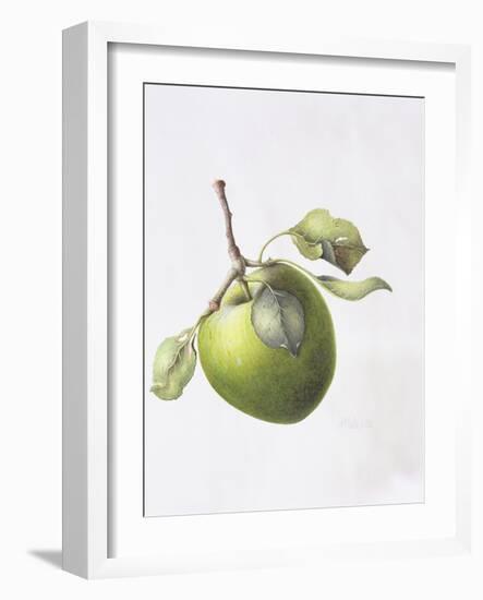 Bramley Apple, 1995-Margaret Ann Eden-Framed Giclee Print