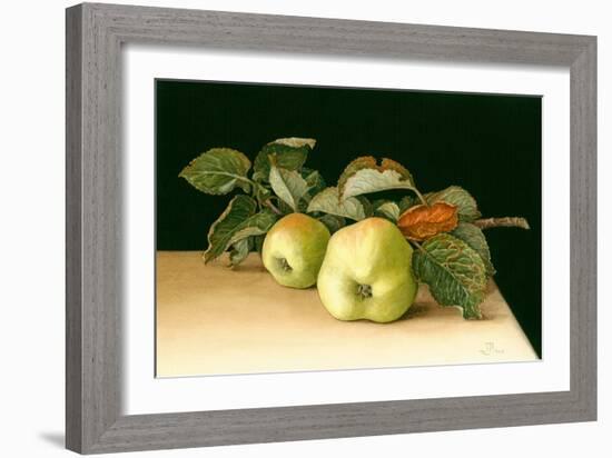 Bramleys-Jenny Barron-Framed Giclee Print