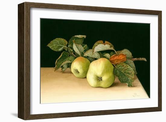 Bramleys-Jenny Barron-Framed Giclee Print