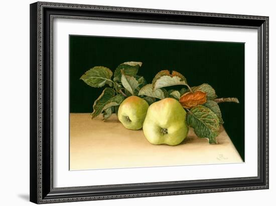 Bramleys-Jenny Barron-Framed Giclee Print