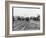 Bramshott - 1916-null-Framed Photographic Print