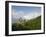 Bran Castle, Bran, Transylvania, Romania, Europe-Gary Cook-Framed Photographic Print