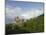 Bran Castle, Bran, Transylvania, Romania, Europe-Gary Cook-Mounted Photographic Print