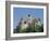 Bran Castle (Dracula's Castle), Transylvania, Romania-Charles Bowman-Framed Photographic Print