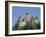 Bran Castle (Dracula's Castle), Transylvania, Romania-Charles Bowman-Framed Photographic Print