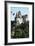 Bran Castle, Romania-null-Framed Giclee Print