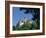 Bran Castle, Transylvania, Romania, Europe-Charles Bowman-Framed Photographic Print