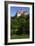 Bran Castle-Charles Bowman-Framed Photographic Print