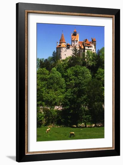 Bran Castle-Charles Bowman-Framed Photographic Print