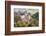 Bran, Romania. Castle Bran, Exterior. Dracula's Castle.-Emily Wilson-Framed Photographic Print