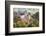 Bran, Romania. Castle Bran, Exterior. Dracula's Castle.-Emily Wilson-Framed Photographic Print