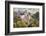 Bran, Romania. Castle Bran, Exterior. Dracula's Castle.-Emily Wilson-Framed Photographic Print