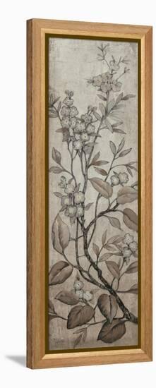 Branch and Blossoms I-Tim O'toole-Framed Stretched Canvas