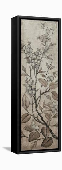 Branch and Blossoms I-Tim O'toole-Framed Stretched Canvas