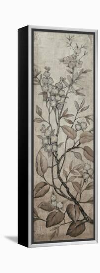 Branch and Blossoms I-Tim O'toole-Framed Stretched Canvas