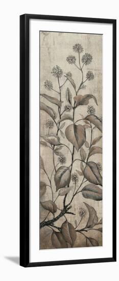 Branch and Blossoms II-Tim O'toole-Framed Art Print