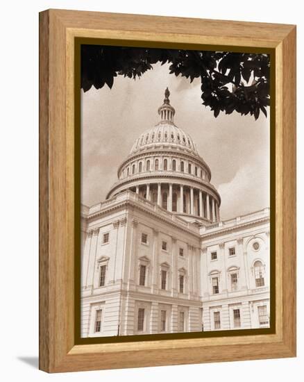 Branch Before U.S. Capitol-David Papazian-Framed Premier Image Canvas