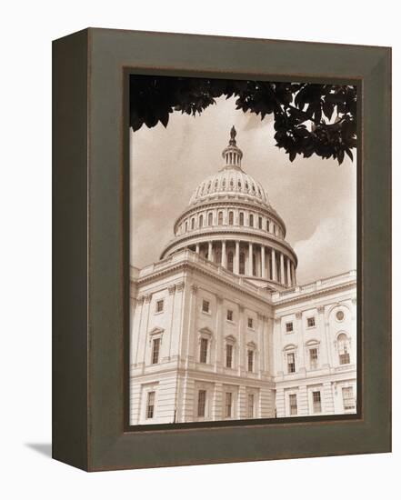 Branch Before U.S. Capitol-David Papazian-Framed Premier Image Canvas