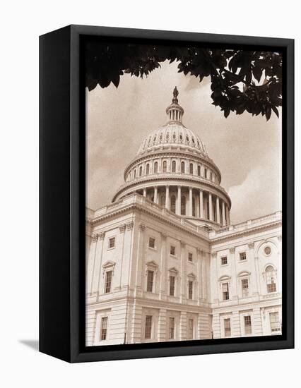 Branch Before U.S. Capitol-David Papazian-Framed Premier Image Canvas