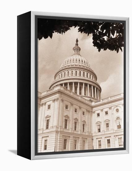 Branch Before U.S. Capitol-David Papazian-Framed Premier Image Canvas