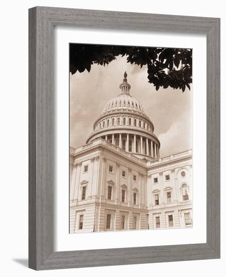 Branch Before U.S. Capitol-David Papazian-Framed Photographic Print