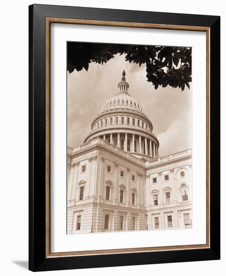 Branch Before U.S. Capitol-David Papazian-Framed Photographic Print