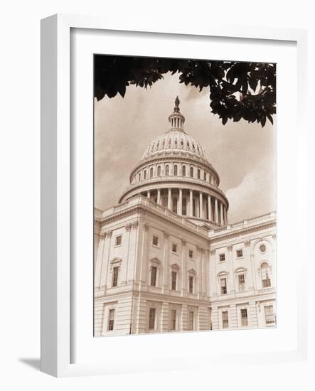 Branch Before U.S. Capitol-David Papazian-Framed Photographic Print