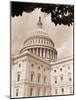 Branch Before U.S. Capitol-David Papazian-Mounted Photographic Print