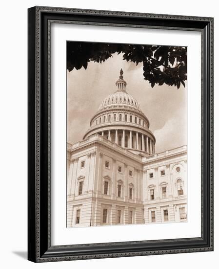 Branch Before U.S. Capitol-David Papazian-Framed Photographic Print