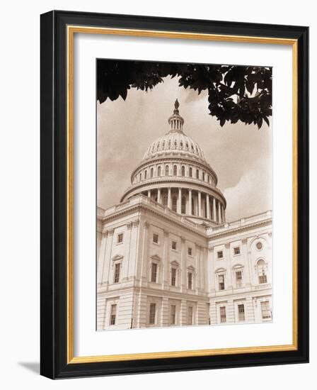 Branch Before U.S. Capitol-David Papazian-Framed Photographic Print