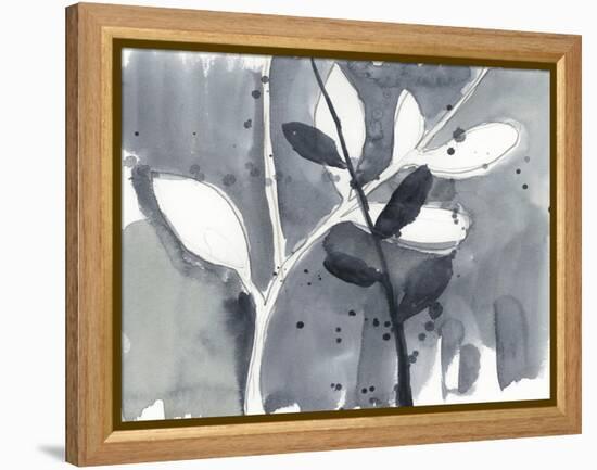 Branch Contours IX-Jennifer Goldberger-Framed Stretched Canvas