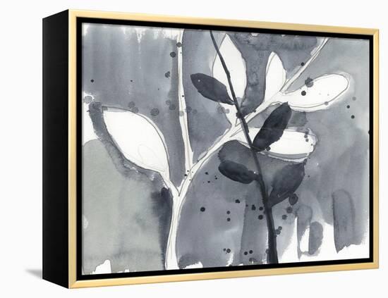 Branch Contours IX-Jennifer Goldberger-Framed Stretched Canvas