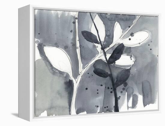 Branch Contours IX-Jennifer Goldberger-Framed Stretched Canvas