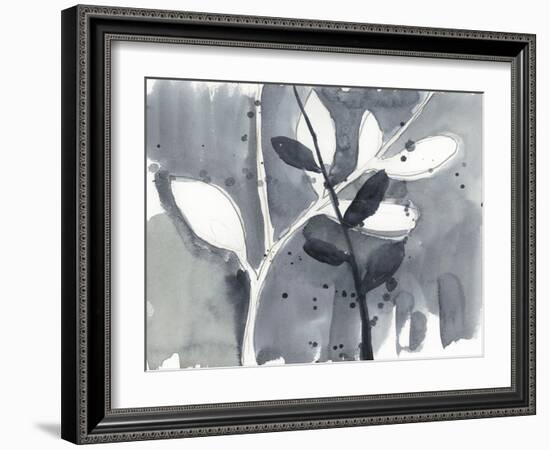 Branch Contours IX-Jennifer Goldberger-Framed Art Print