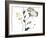 Branch Contours VI-Jennifer Goldberger-Framed Art Print