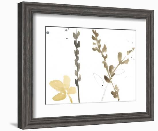 Branch Contours VIII-Jennifer Goldberger-Framed Art Print