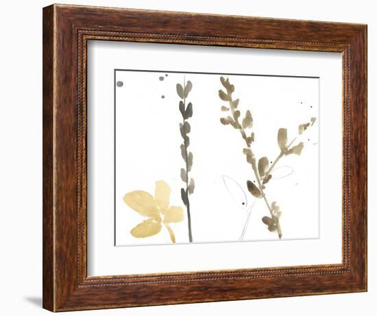 Branch Contours VIII-Jennifer Goldberger-Framed Art Print